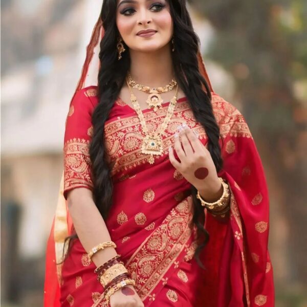 Japani Silk Skin Print Sharee