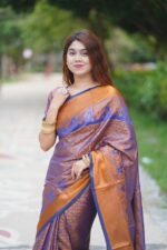 ✨ Kanjivaram Katan Saree ✨ - Image 3