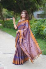 ✨ Kanjivaram Katan Saree ✨ - Image 4