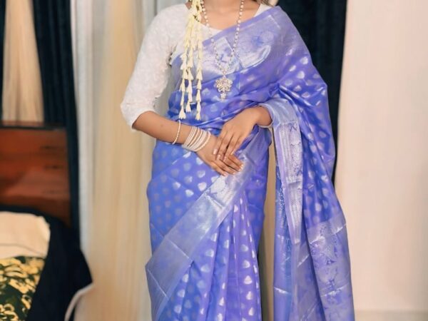 ✨ Soft Silk Katan Saree ✨